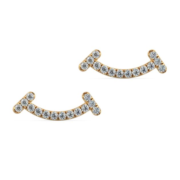 Norme de Danhov Smile Diamonds Earrings in 14Yellow gold 