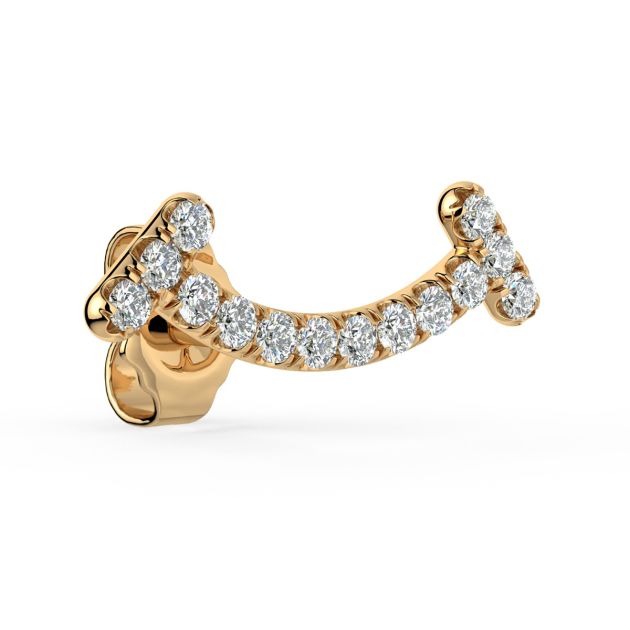 Norme de Danhov Smile Diamonds Earrings in 14Yellow gold 